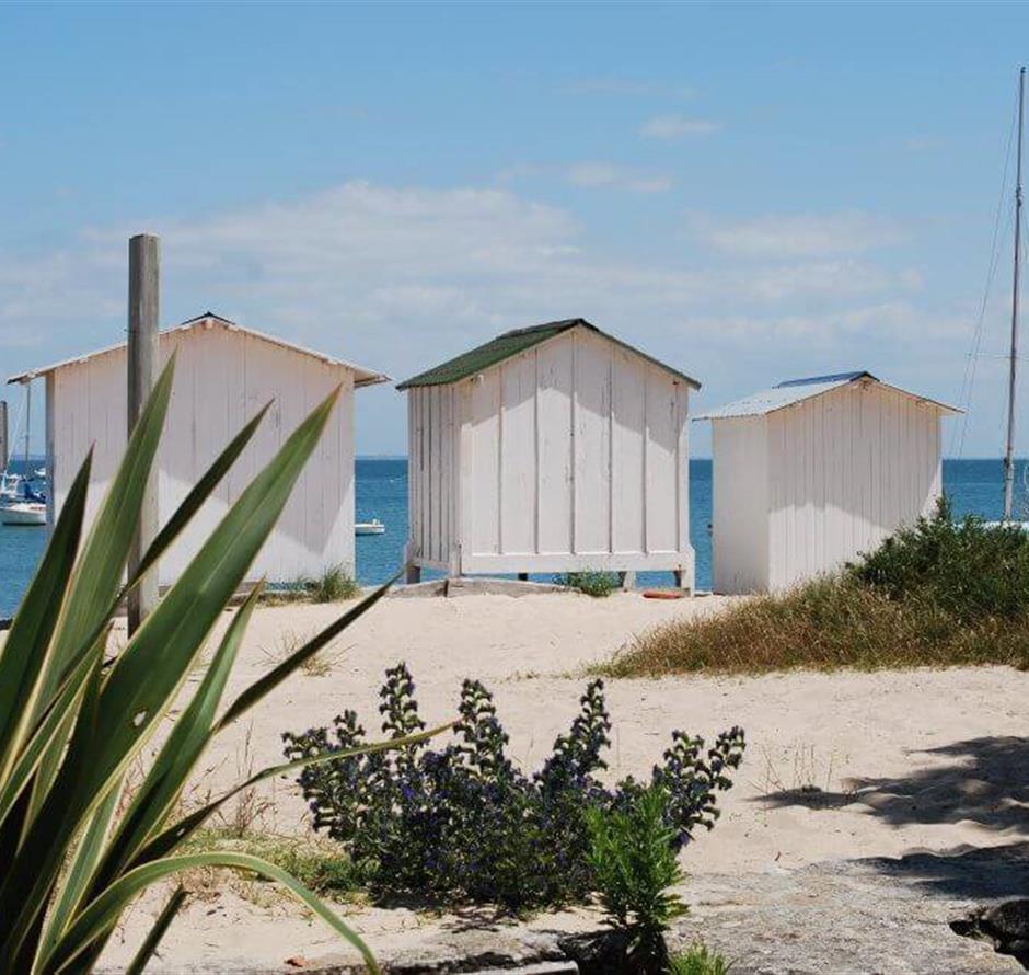 Island of Noirmoutier near the 3-star Les Sirènes campsite in Saint-Jean-de-Monts 