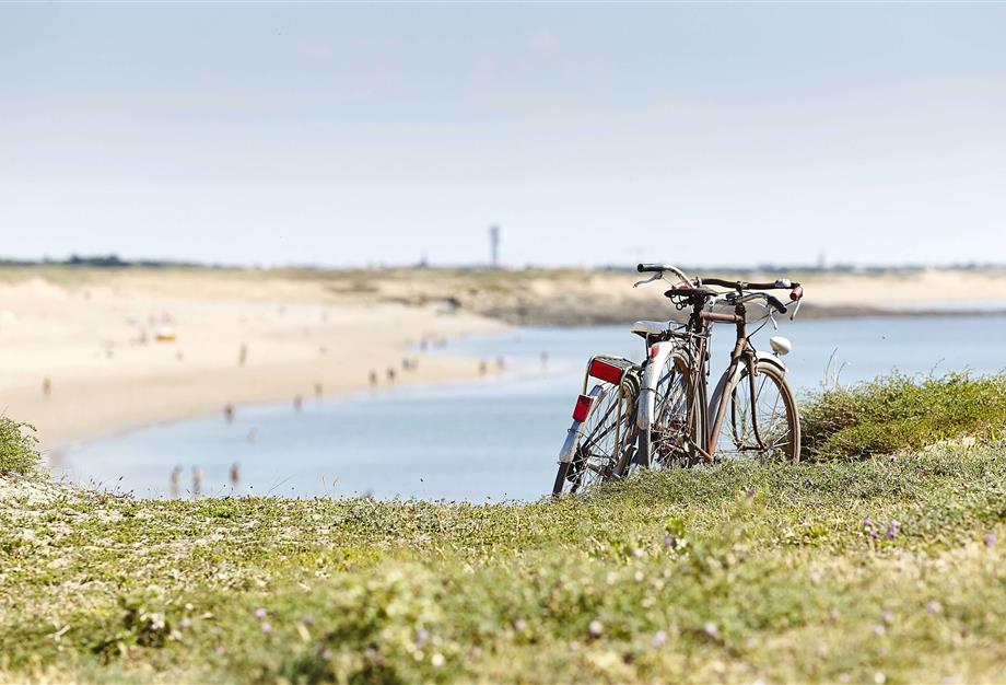 discover the Vendée by bike - CAMPING**** Les Sirènes