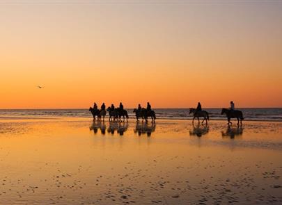 horseback riding on the beaches of st hilaire de riez - CAMPING**** Les Sirènes