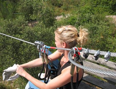 tree climbing near st hilaire de riez