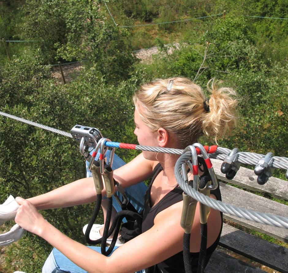 tree climbing near st hilaire de riez 