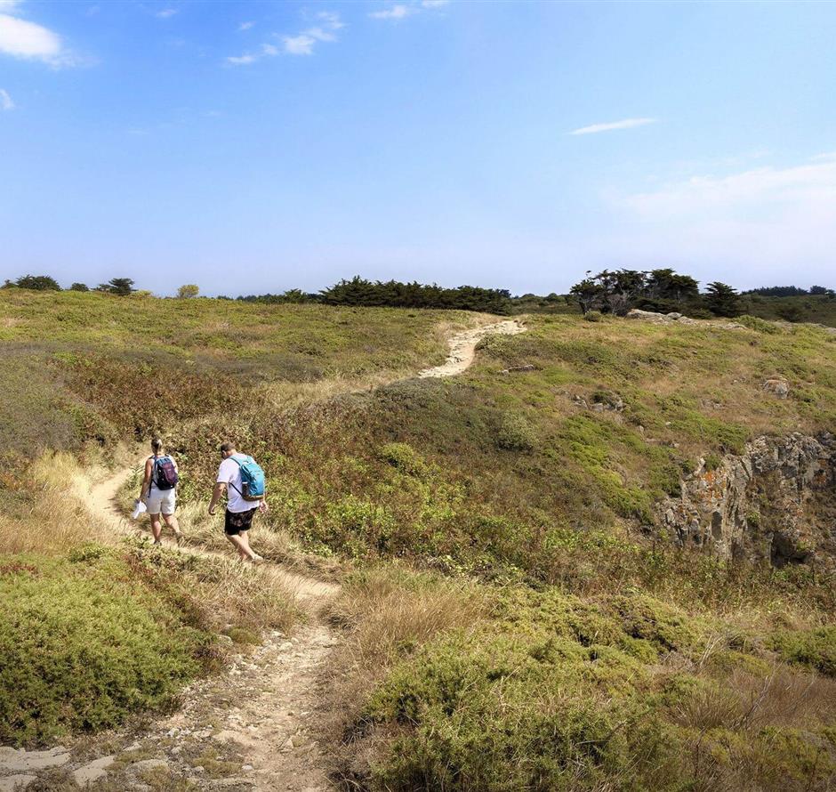 Hike near the 3-star Les Sirènes campsite in Saint-Jean-de-Monts 