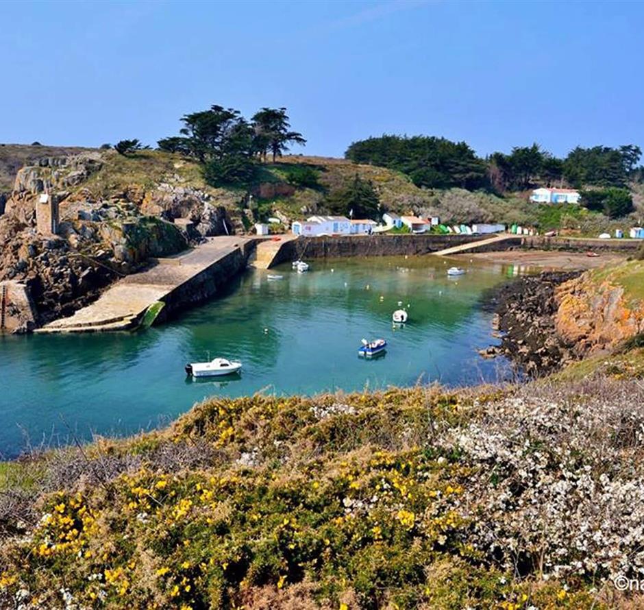 Ile d'Yeu near Camping Les Sirènes 3 stars 