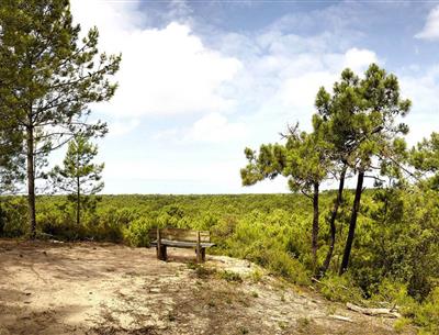 Saint-Jean-de-Monts, around the 3-star Les Sirènes campsite in Vendée