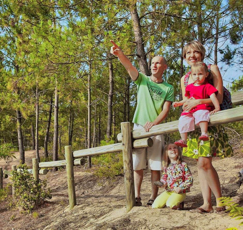 Forest of the Pays de Saint-Jean-de-Monts in Vendée near the 3-star Les Sirènes campsite 