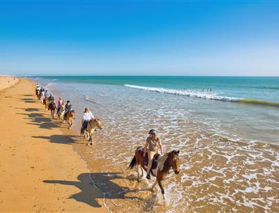 Various nature-based activities around the 3-star Les Sirènes campsite