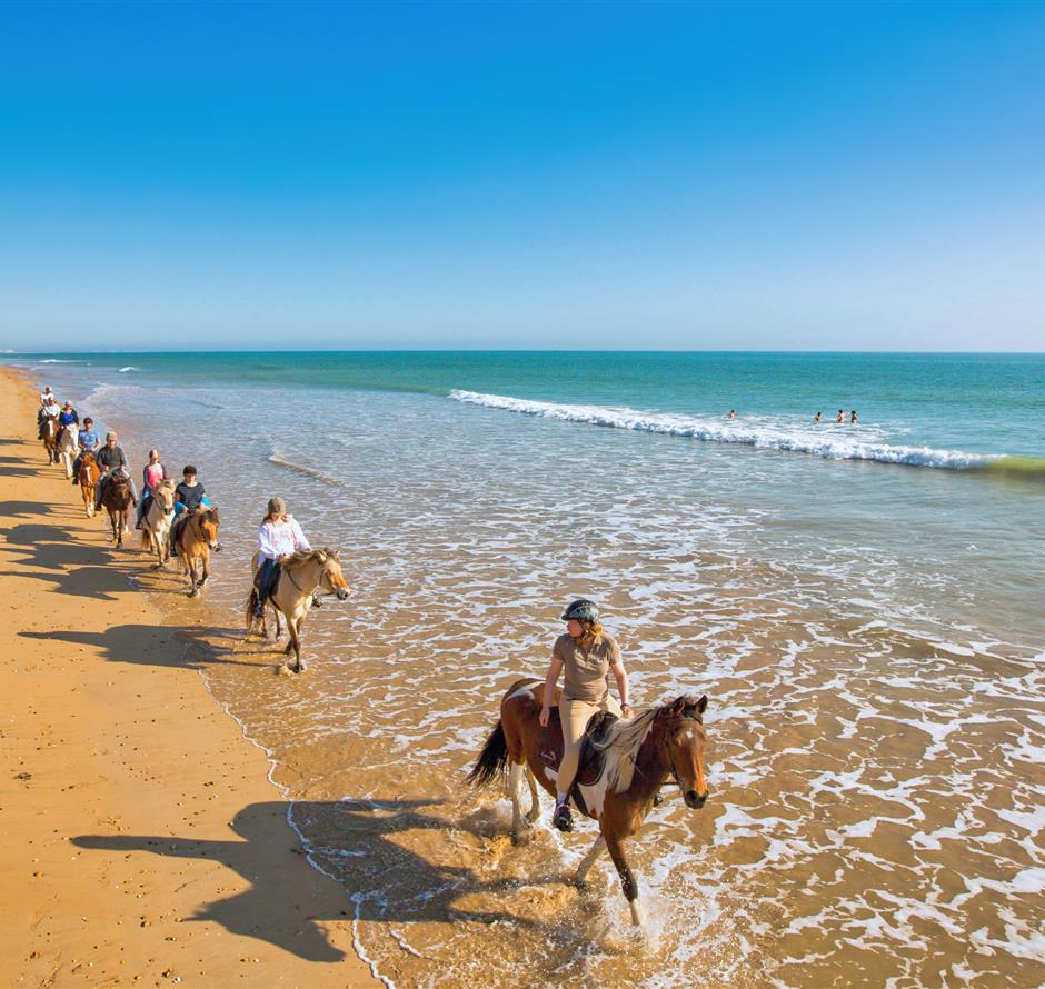 Various nature-based activities around the 3-star Les Sirènes campsite 