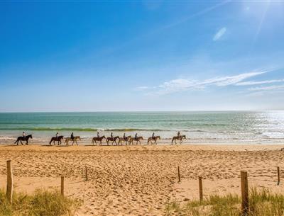 Various nature-based activities around the 3-star Les Sirènes campsite