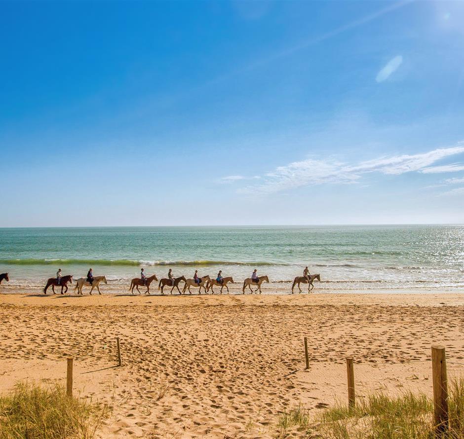 Various nature-based activities around the 3-star Les Sirènes campsite 