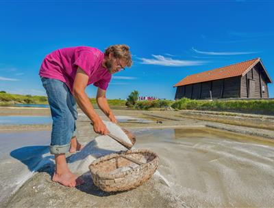 Various nature-based activities around the 3-star Les Sirènes campsite