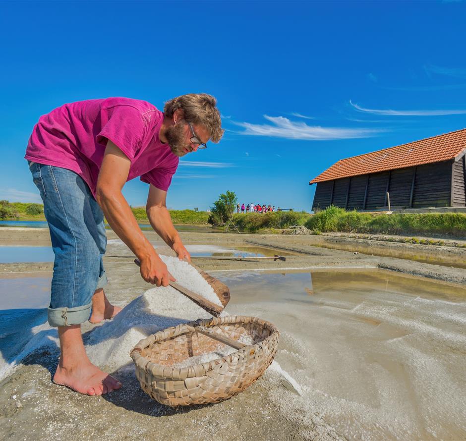 Various nature-based activities around the 3-star Les Sirènes campsite 