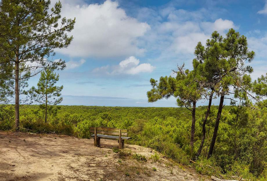 activities and places to discover near the 4-star Les Sirènes campsite in Saint-Jean-de-Monts - CAMPING**** Les Sirènes