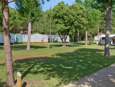 Bare pitches without electricity at Les Sirènes campsite in Saint-Jean-de-Monts