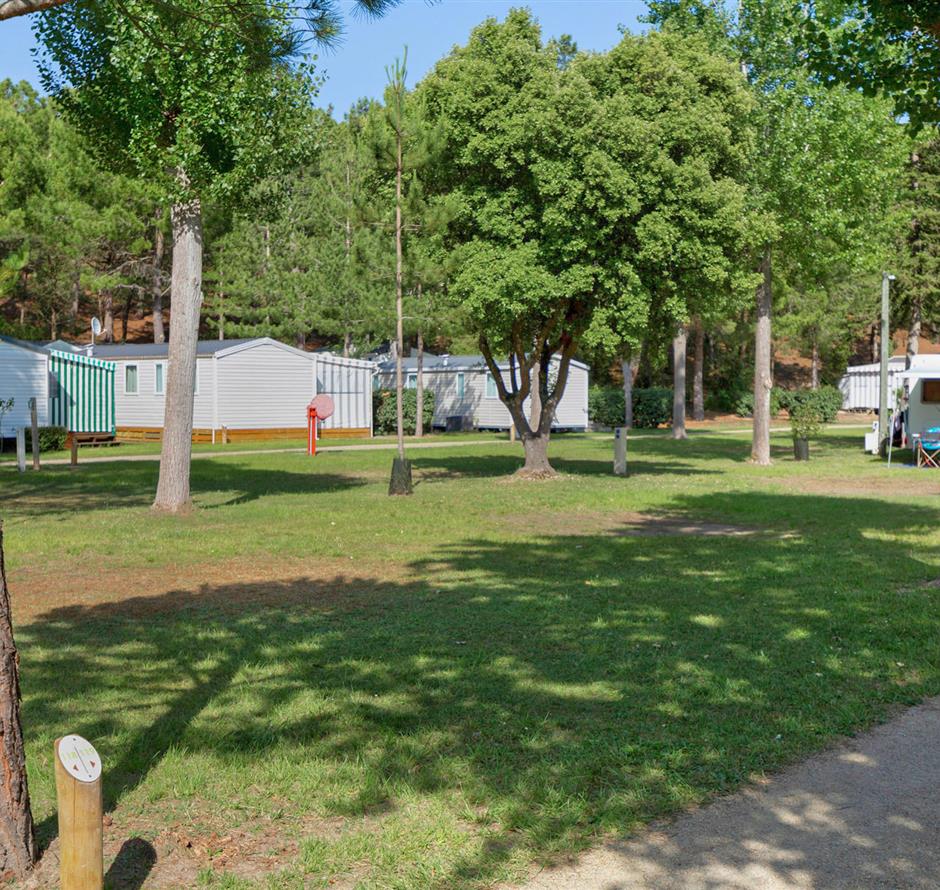 Bare pitches without electricity at Les Sirènes campsite in Saint-Jean-de-Monts 
