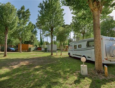 Bare pitches with electricity 2 flowers at Camping Les Sirènes