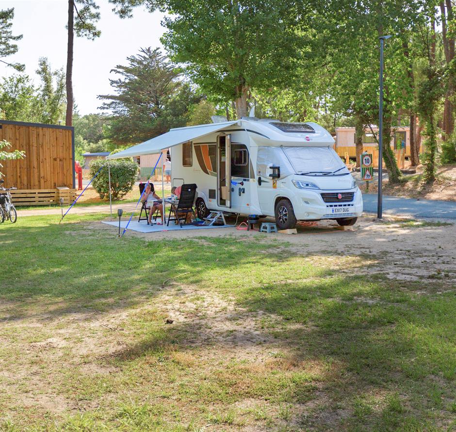 Bare pitches with electricity 2 flowers at Camping Les Sirènes 
