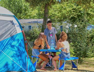 Bare pitches without electricity at Les Sirènes campsite in Saint-Jean-de-Monts