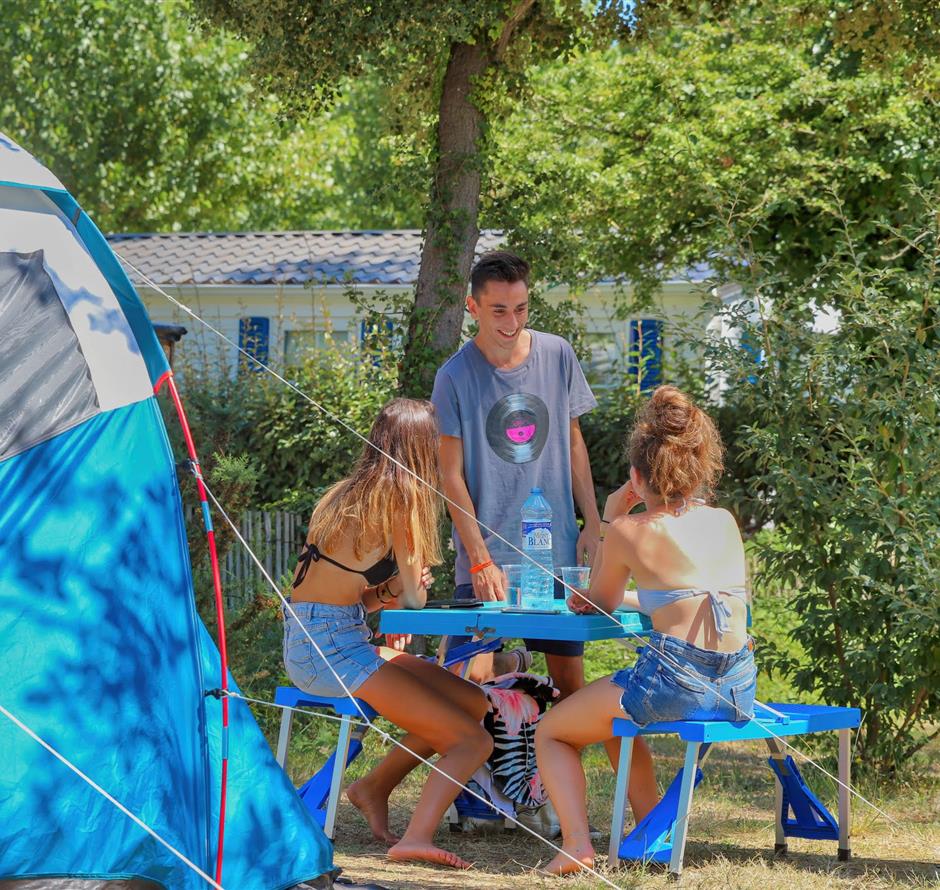 Bare pitches without electricity at Les Sirènes campsite in Saint-Jean-de-Monts 