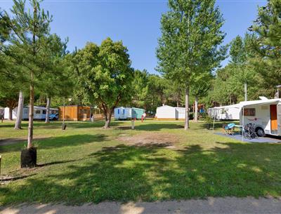 Bare pitches without electricity at Les Sirènes campsite in Saint-Jean-de-Monts