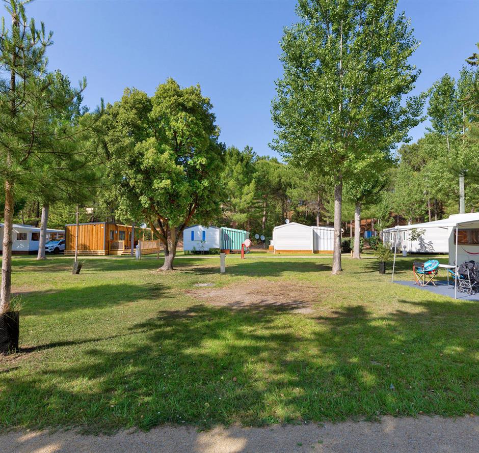 Bare pitches without electricity at Les Sirènes campsite in Saint-Jean-de-Monts 