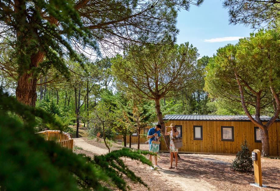 Nature and pine forests at the 3-star Les Sirènes campsite in Saint-Jean-de-Monts - CAMPING**** Les Sirènes