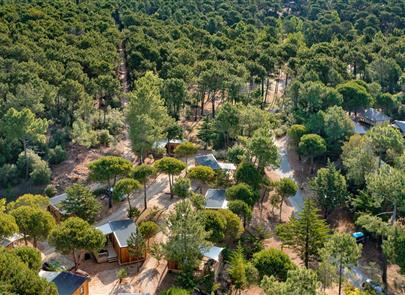 Nature and pine forests at the 3-star Les Sirènes campsite in Saint-Jean-de-Monts - CAMPING**** Les Sirènes