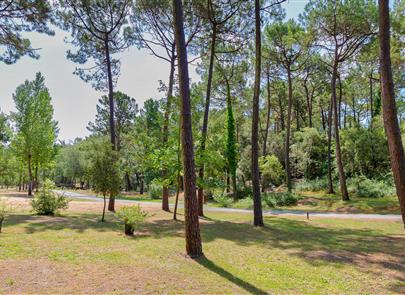 Bare pitch for caravan at the 4-star Les Sirènes campsite in Saint Jean de Monts in Vendée - CAMPING**** Les Sirènes