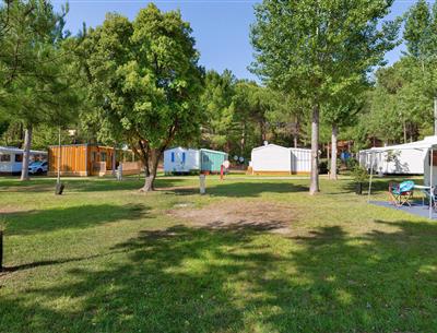 Bare pitches without electricity at Les Sirènes campsite in Saint-Jean-de-Monts