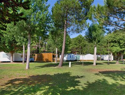 Bare pitches without electricity at Les Sirènes campsite in Saint-Jean-de-Monts