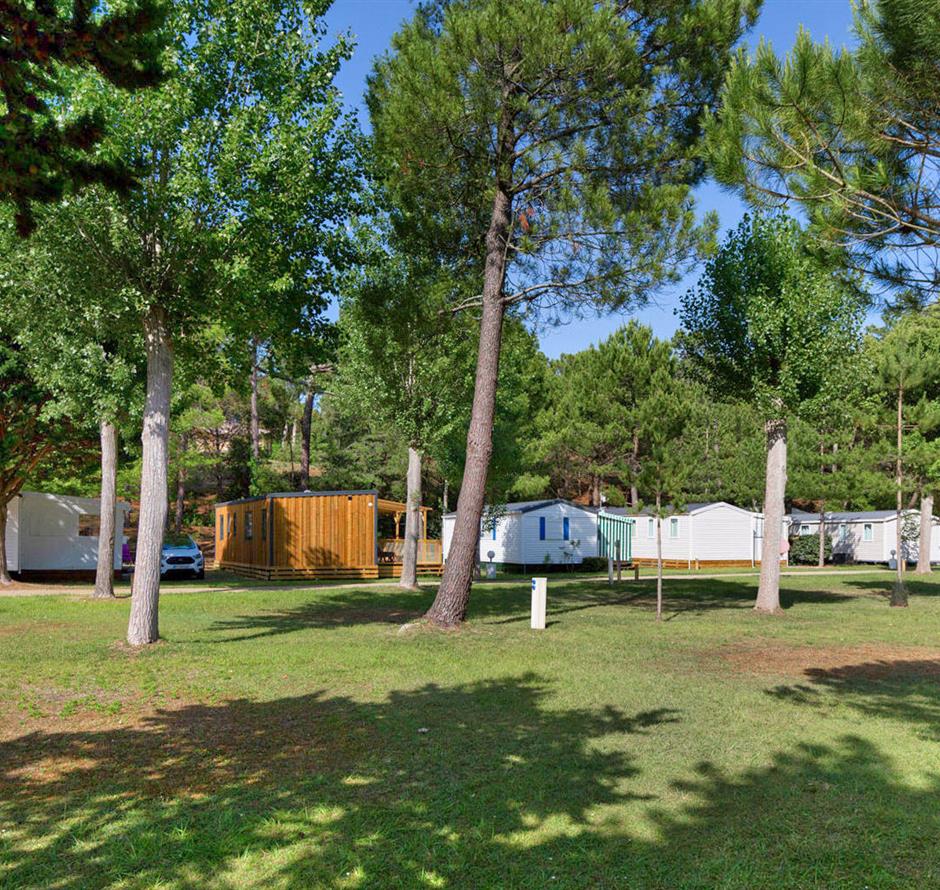Bare pitches without electricity at Les Sirènes campsite in Saint-Jean-de-Monts 