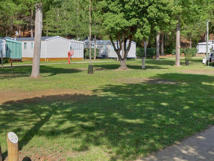 Bare pitches without electricity at Les Sirènes campsite in Saint-Jean-de-Monts