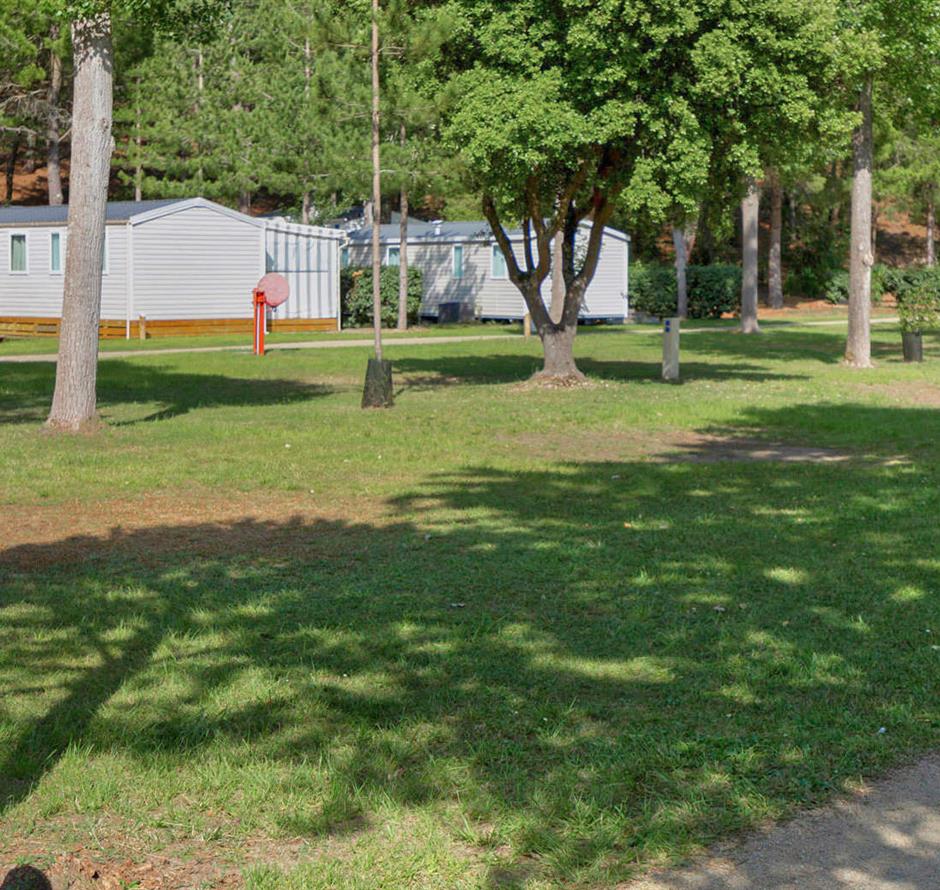 Bare pitches without electricity at Les Sirènes campsite in Saint-Jean-de-Monts 