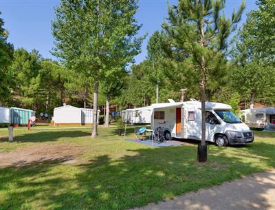 Bare pitches with electricity 2 flowers at Camping Les Sirènes