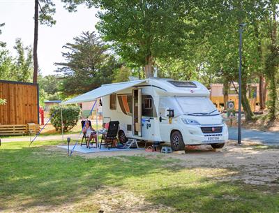 Bare pitches with electricity 2 flowers at Camping Les Sirènes