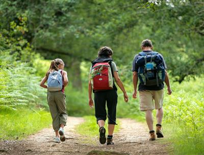 Hike near the 3-star Les Sirènes campsite in Saint-Jean-de-Monts