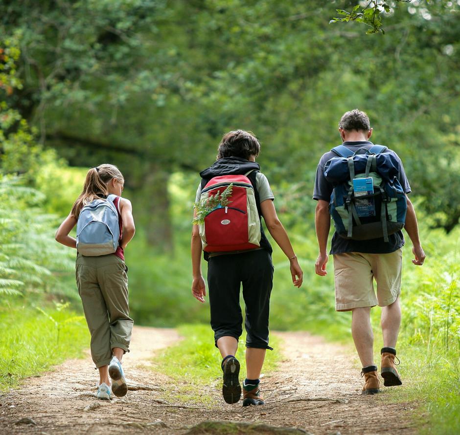 Hike near the 3-star Les Sirènes campsite in Saint-Jean-de-Monts 