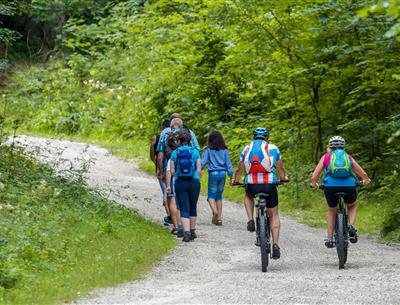 Cycle paths in Saint Jean de Monts in Vendée near the 3-star Les Sirènes campsite