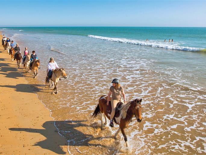Various nature-based activities around the 3-star Les Sirènes campsite