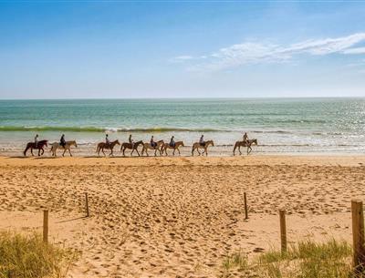 Various nature-based activities around the 3-star Les Sirènes campsite