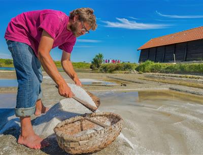 Various nature-based activities around the 3-star Les Sirènes campsite