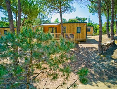 Exterior view of the Cottage 5 pers 3 flowers